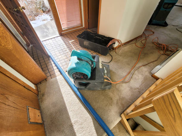 Best Fire Damage Restoration  in Inverness, CO