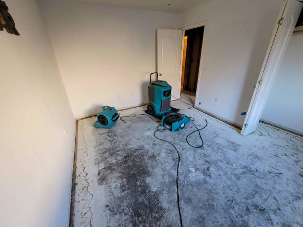 Best Flood restoration services  in Inverness, CO