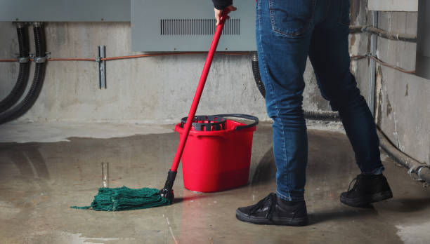 Best Professional water damage repair  in Inverness, CO