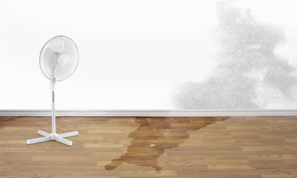 Inverness, CO Water damage restoration Company