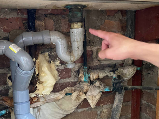 Best Local water damage restoration  in Inverness, CO