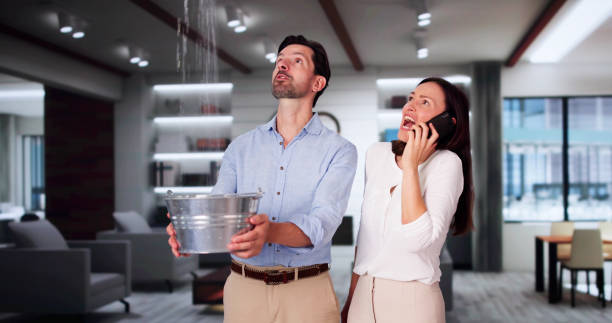 Best Water damage repair service  in Inverness, CO